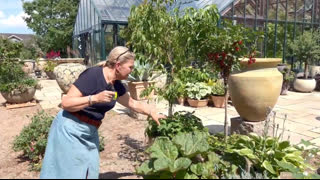 Helle Thorup, Indehaver af Farmshop Enggaarden