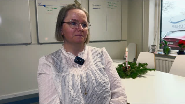 Mona Hyldegaard, Indehaver af RENE LINJER