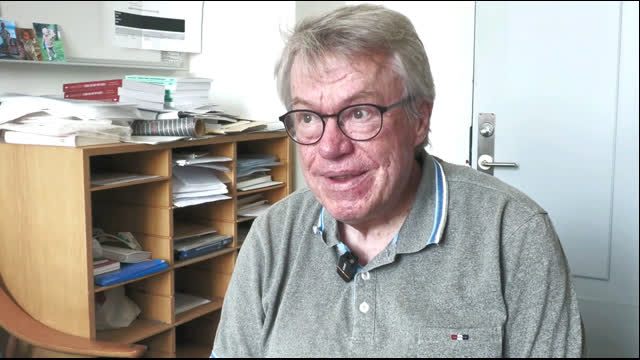 Peter Nedergaard, Professor ved Københavns Universitet