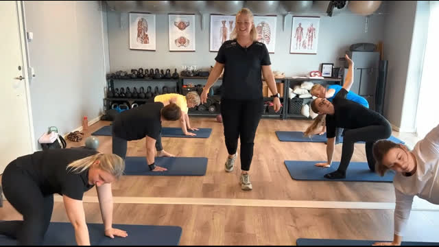 Sisse Munch Hansen, Indehaver af Klinik Under Livet