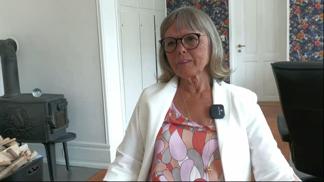 Anne-Grethe Warrer, Indehaver af Galleri Warrer